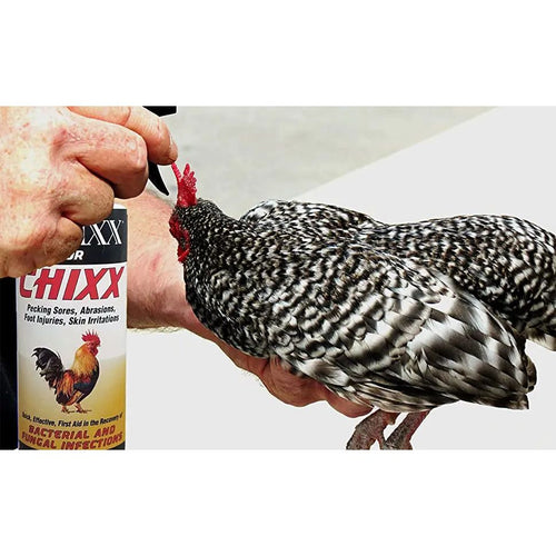 Banixx ChiXX Chicken Care Spray 8 oz. Poultry Skin & Coop Care Odor-Free 2-Pack