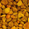 Bee Pollen Shrimp Supplement