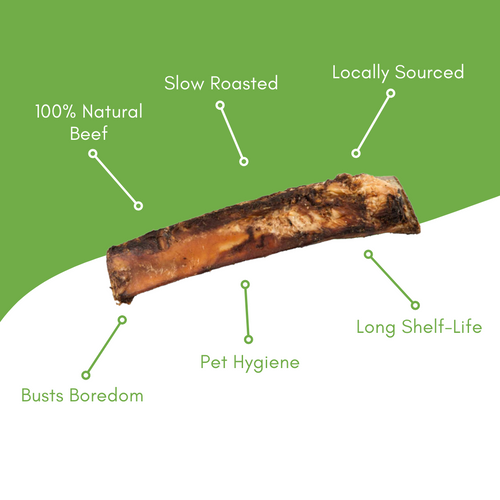 6″ Beef Rib Bone