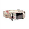 Betsy Ross Vintage Patriotic American Star Buckle & Martingale Dog Collar