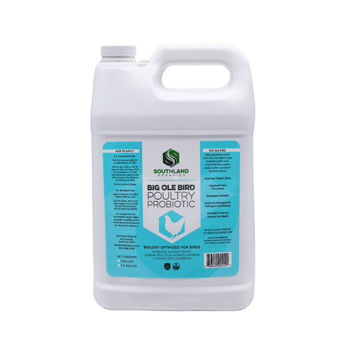 Big Ole Bird | Probiotics for Poultry