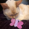 HuggleKats® Bindies™ Cat Toys, 2 Pack