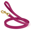 Biothane Working Dog Lead 20ft - Long Line Collection