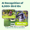 Birdfy Feeder Ebony - Wooden Smart Bird Feeder