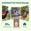 Birdfy Feeder Ebony - Wooden Smart Bird Feeder