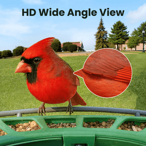 Birdfy Feeder 2 - Smart Bird Feeder
