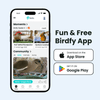 Birdfy Feeder 2 - Smart Bird Feeder