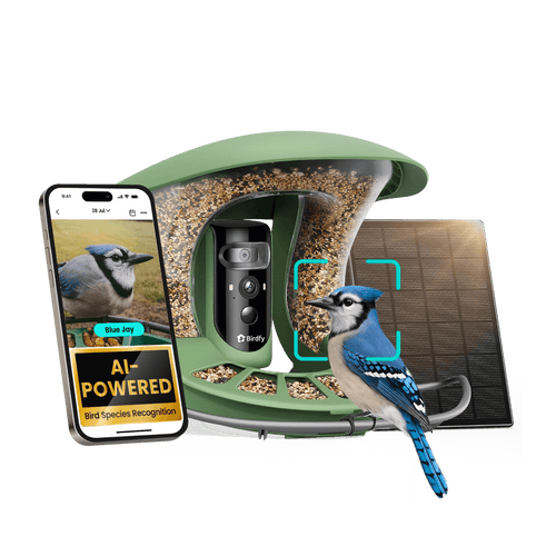 Birdfy Feeder 2 Pro - Dual-Lens Smart Bird Feeder with Camera