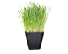 Biodegradable Bamboo Fiber Planters