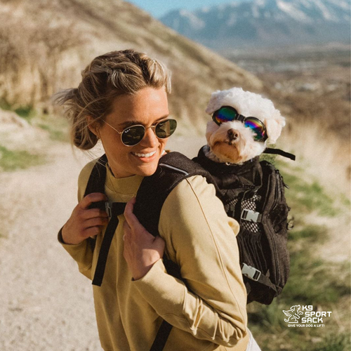 Plus 2 | Dog Carrier with Removable Storage