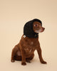 Black Sparkle Snood