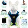 EcoBark Step In Dog Harness - XXXS to Small Breeds- Reflective Soft Mesh Harness for Teacup, Small Dogs and Puppies / Black w/ Teal Piping