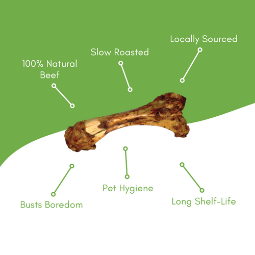Dino Beef Bone