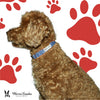 Fabric Dog Collar - Blue