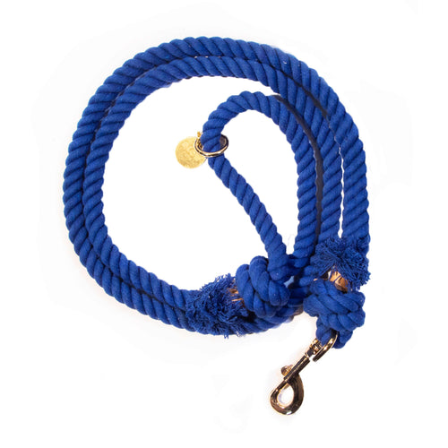 Blue Boho Chic Style Dog Leash - Glow Pups