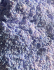 Blueberry Flavored Yak Cheese Chew - Made with REAL BLUEBERRY Puree - Single