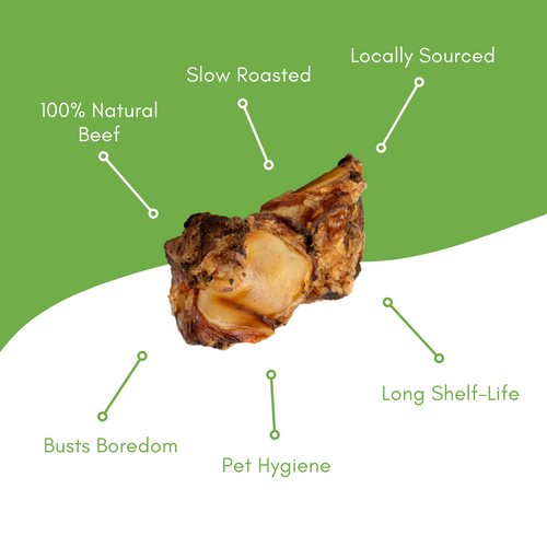 Knee Cap Beef Bone