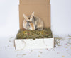 Botanical Hay: Mix of Hay & Culinary Herbs for Rabbits