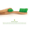 Tooth Gel and Bamboo Toothbrush for Small Dogs - Organic Dental Solutions®
