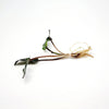 Cryptocoryne Wendtii