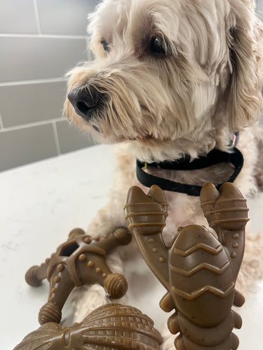 Ocean Theme Indestructible Chew Toy- For Tough Chewers
