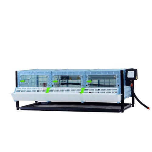 Chick Brooder - H:9.5 Layer Addition