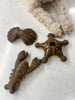 Ocean Theme Indestructible Chew Toy- For Tough Chewers