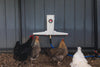 The Chicken Fountain®