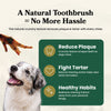 Chicken Feet - Dog Treats