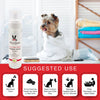 Cucumber Melon Foaming Facial For Dogs