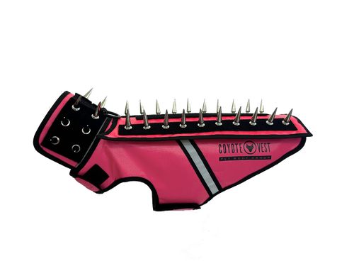 HawkVest