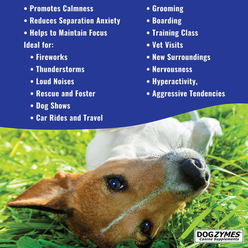 Nature's Farmacy Dogzymes Calm Paste