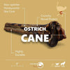 Large Ostrich Cane (11.5 x 5): The Ultimate Long-Lasting Chew for Medium, Large & XL Dogs