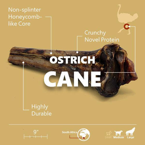 Large Ostrich Cane (11.5 x 5): The Ultimate Long-Lasting Chew for Medium, Large & XL Dogs