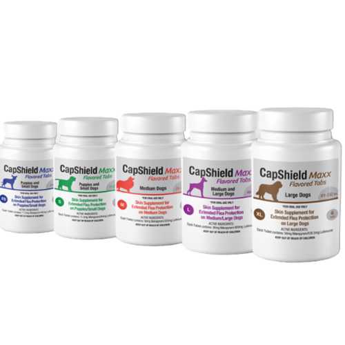 CapShield Maxx Flavored Flea Tabs for Dogs XL 91-132lbs, 6-Count