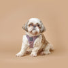 SoHo Dog Harness - Lilac Gray