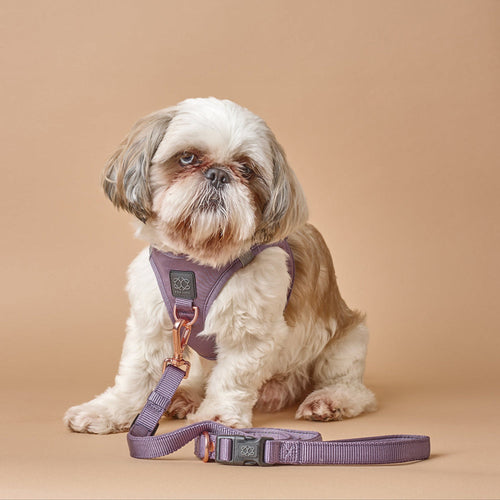 SoHo Dog Harness - Lilac Gray