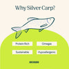 Silver Carp For Dogs