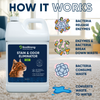 Cat Stain and Odor Eliminator