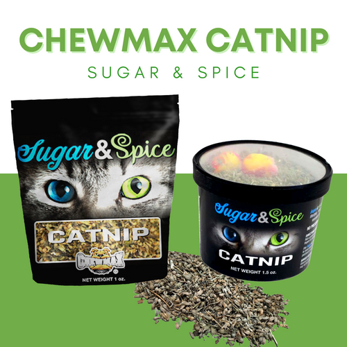 .75 oz Catnip Container