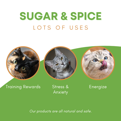 .75 oz Catnip Container