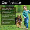 Cetyl M Advance Healthy Hips & Joints Action Care for Dogs 360 Tablets