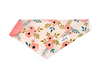 Charleston Blush Floral Tea Rose Over-the-collar Dog Bandana