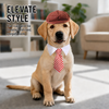 Vintage Flat Cap & Tie Set for Dogs and Cats Gentleman Pet Costume Accessories