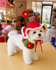 Handmade Crochet Flower Garden Grape Dog Hat – Cute Knit Pet Bonnet for Small Dogs & Cats Photo Outfit