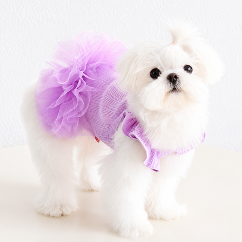 Flutter Sleeve Dog Tutu Dress – Ribbed Knit Puppy Ballet Dress with Layered Tulle Skirt for Small Dogs