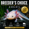 Breeder’s Choice Axolotl