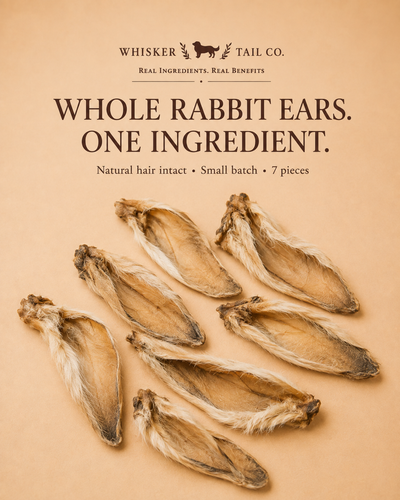 Rabbit Ears for Dogs & Cats | Single-Ingredient Natural Chew | Whisker & Tail Co.
