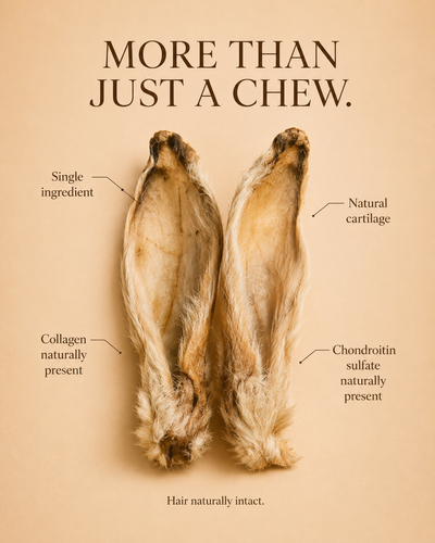 Rabbit Ears for Dogs & Cats | Single-Ingredient Natural Chew | Whisker & Tail Co.