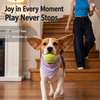 Printed Tennis Ball Pet Toy